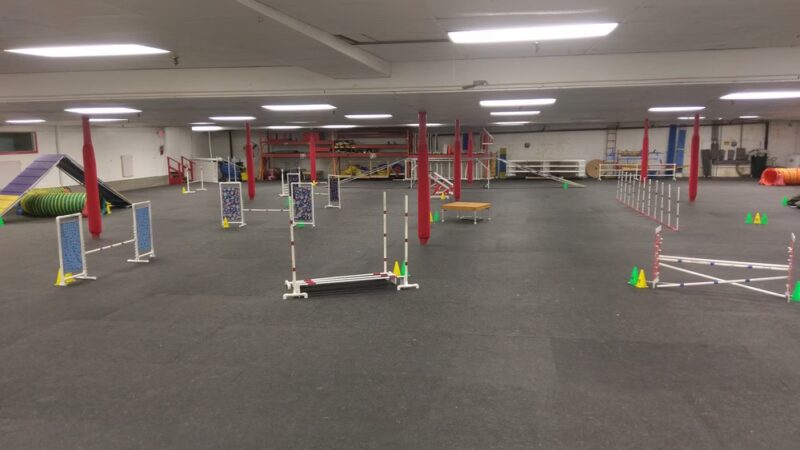 St Paul Dog Training Club - South St Paul, MN