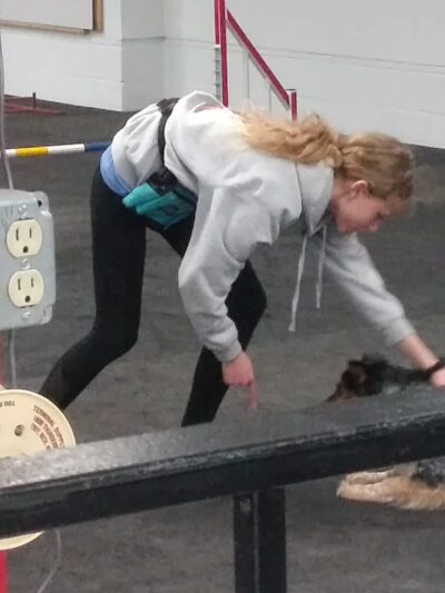 St Paul Dog Training Club - South St Paul, MN