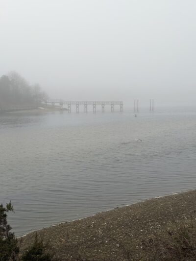 Wilbur Park - South Yarmouth, MA