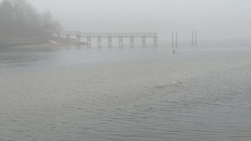 Wilbur Park - South Yarmouth, MA