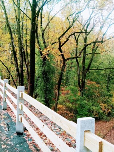 Newtown Rail Trail, Upper Southampton Portion (County Line Road Trailhead) - Southampton, PA