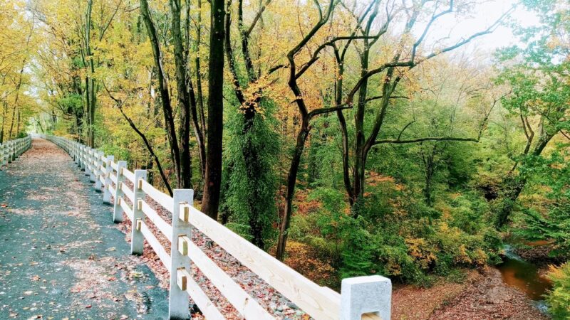 Newtown Rail Trail, Upper Southampton Portion (County Line Road Trailhead) - Southampton, PA
