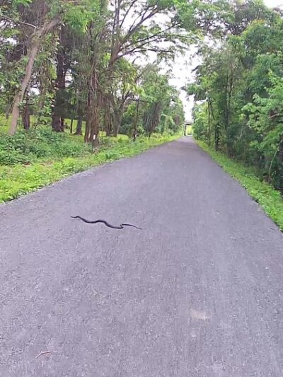 Newtown Rail Trail, Upper Southampton Portion (County Line Road Trailhead) - Southampton, PA