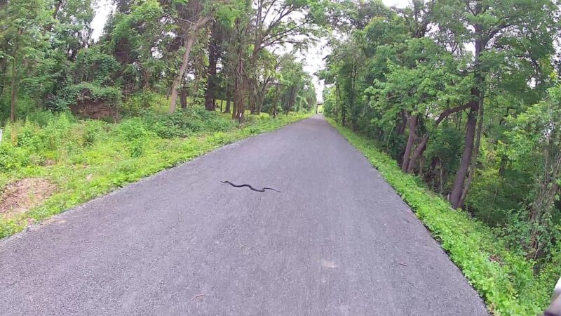 Newtown Rail Trail, Upper Southampton Portion (County Line Road Trailhead) - Southampton, PA