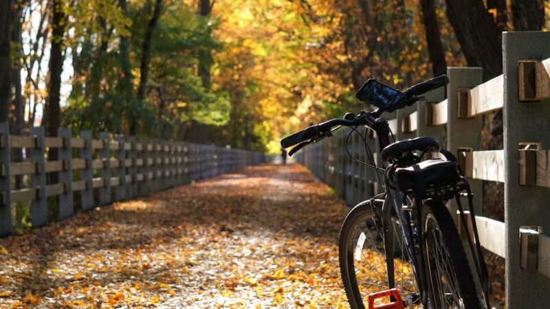 Newtown Rail Trail, Upper Southampton Portion (County Line Road Trailhead) - Southampton, PA