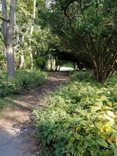 Tamanend Park Disc Golf Course - Southampton, PA