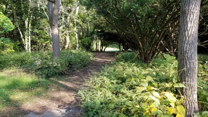 Tamanend Park Disc Golf Course - Southampton, PA