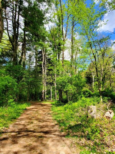 Tamanend Upper Southampton Park - Southampton, PA
