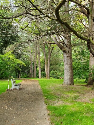 Tamanend Upper Southampton Park - Southampton, PA