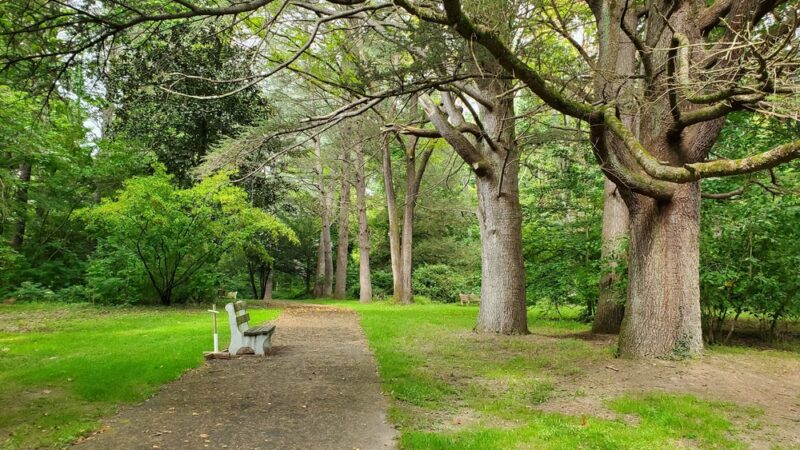 Tamanend Upper Southampton Park - Southampton, PA
