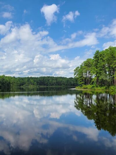Reservoir Park - Southern Pines, NC