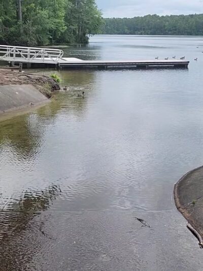 Reservoir Park - Southern Pines, NC