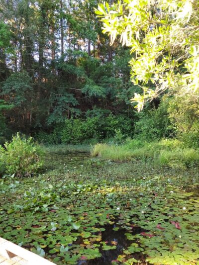 Reservoir Park - Southern Pines, NC