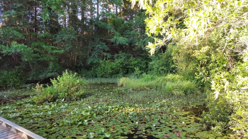 Reservoir Park - Southern Pines, NC