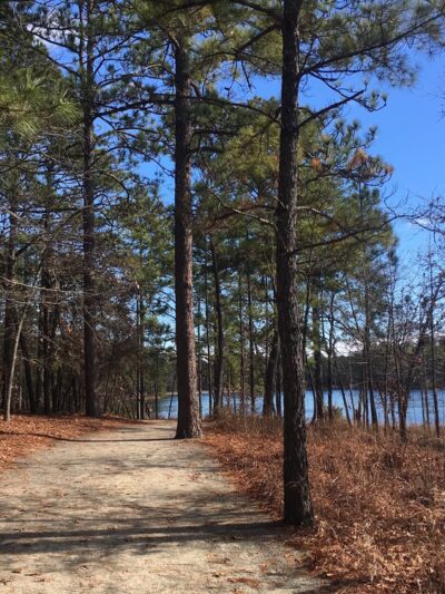 Reservoir Park - Southern Pines, NC