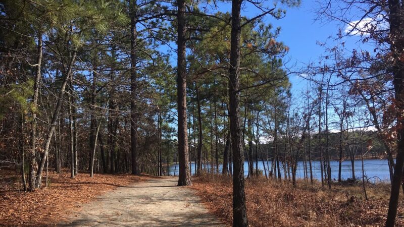 Reservoir Park - Southern Pines, NC