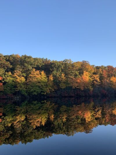 Seven Lakes Drive NY - Southfields, NY