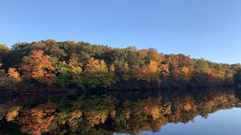 Seven Lakes Drive NY - Southfields, NY