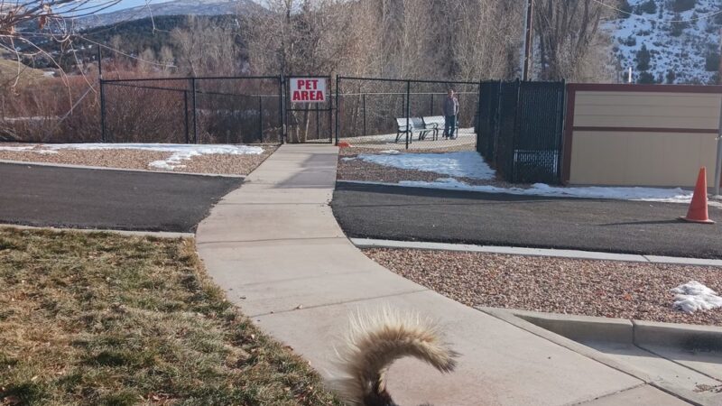 Tie Fork Dog Park - Spanish Fork, UT
