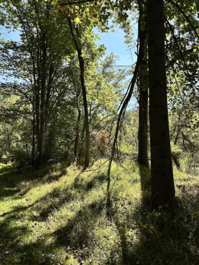Sparks Bank Nature Center - Sparks Glencoe, MD