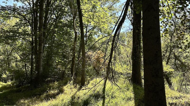 Sparks Bank Nature Center - Sparks Glencoe, MD