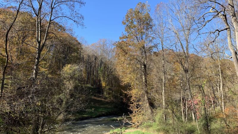 Sparks Bank Nature Center - Sparks Glencoe, MD