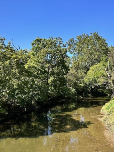 Sparks Bank Nature Center - Sparks Glencoe, MD