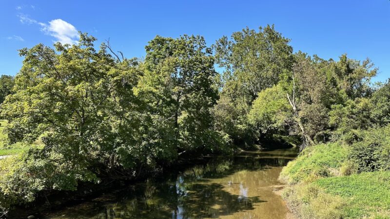 Sparks Bank Nature Center - Sparks Glencoe, MD