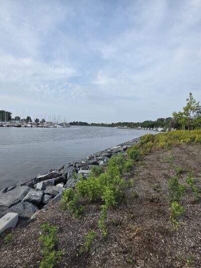 Sparrows Point Park - Sparrows Point, MD