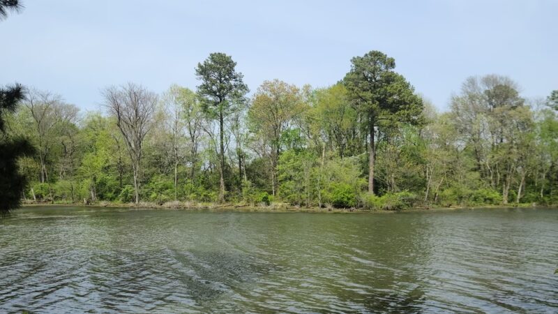 Rotary Park - Sparta, IL