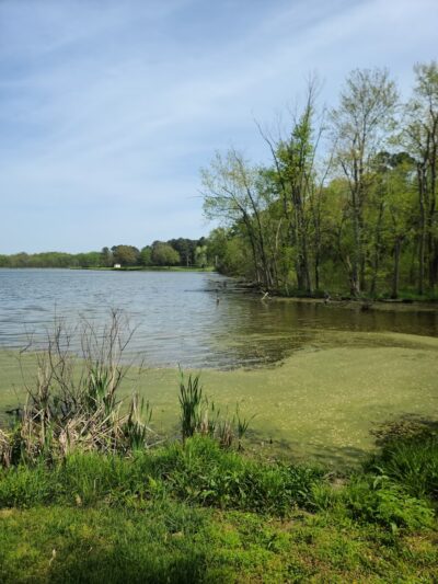 Rotary Park - Sparta, IL