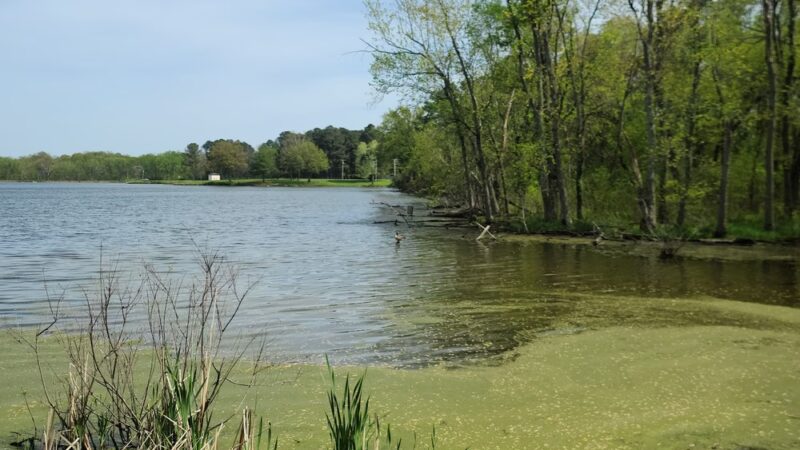 Rotary Park - Sparta, IL