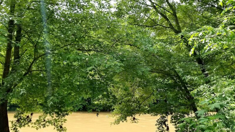 Sparta City Park - Sparta, KY
