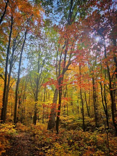 Dog Cove Recreation Area - Sparta, TN