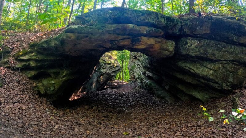 Dog Cove Recreation Area - Sparta, TN