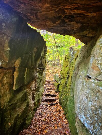 Dog Cove Recreation Area - Sparta, TN