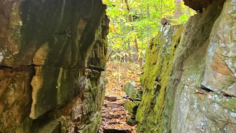 Dog Cove Recreation Area - Sparta, TN