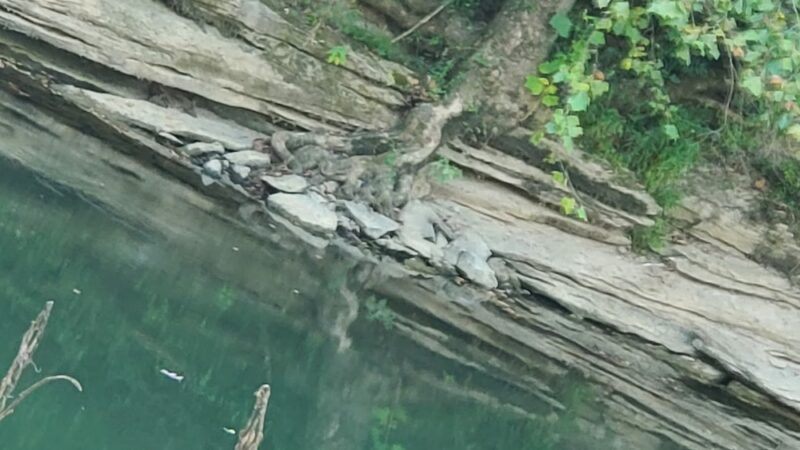 Riverside Park - Sparta, TN