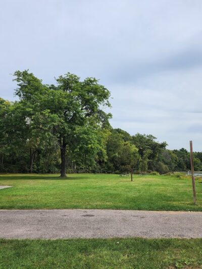 Angelo Wayside County Park - Sparta, WI