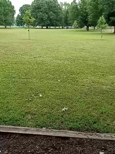 Leonard Park - Speedway, IN