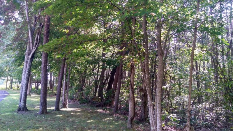 Spencer City Park - Spencer, TN