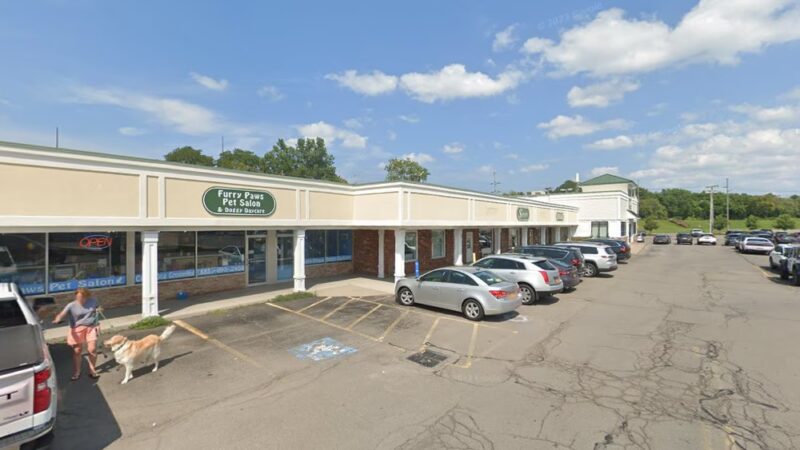 Furry Paws Pet Salon & Doggy Daycare - Spencerport, NY