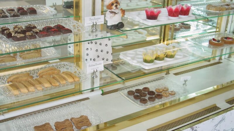Woofies Gourmet Dog Bakery - Spencerport, NY