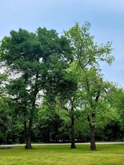 Mack Taylor Park - Sperry, OK