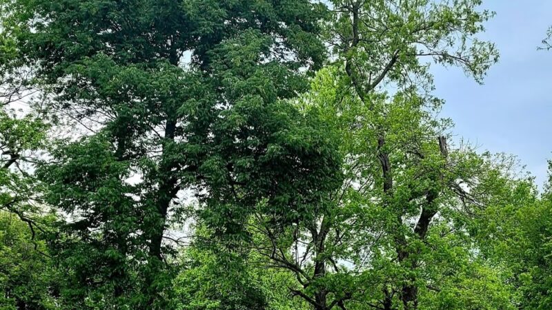 Mack Taylor Park - Sperry, OK