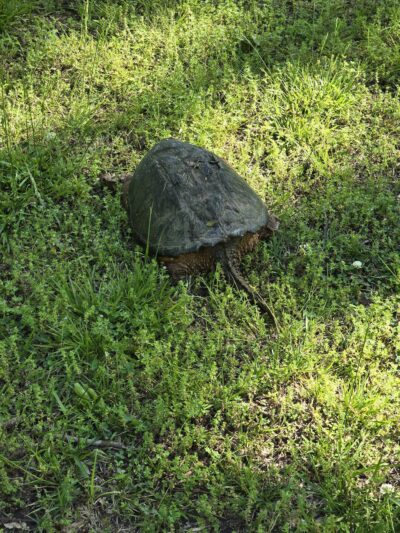 Mack Taylor Park - Sperry, OK