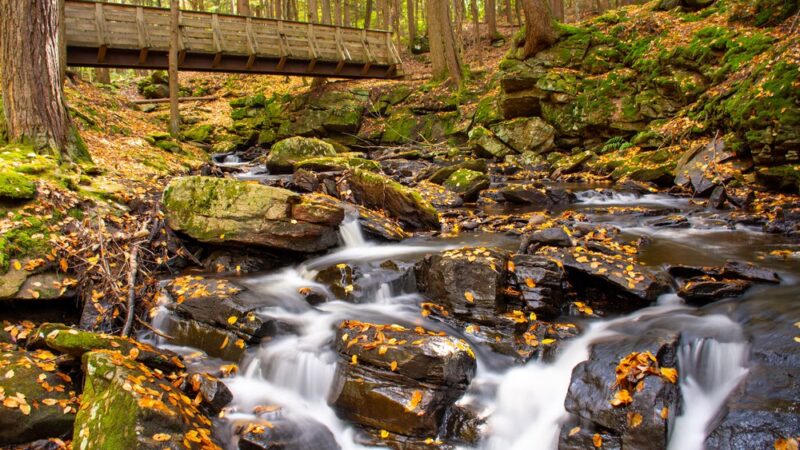 Chesterfield Gorge State Wayside (park and ride) - Spofford, NH