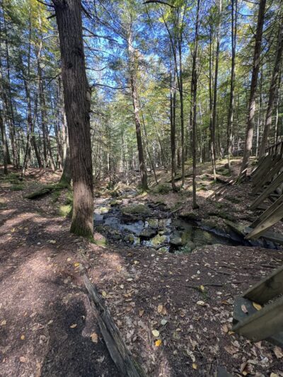 Chesterfield Gorge State Wayside (park and ride) - Spofford, NH