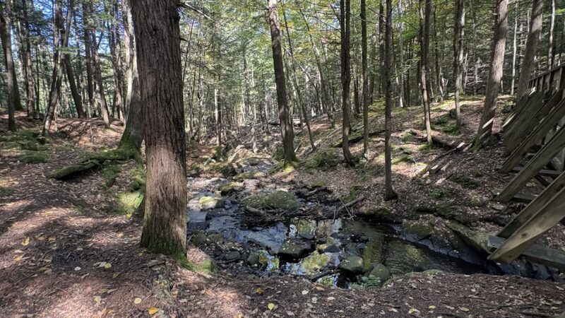 Chesterfield Gorge State Wayside (park and ride) - Spofford, NH
