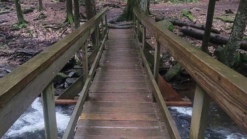 Chesterfield Gorge State Wayside (park and ride) - Spofford, NH